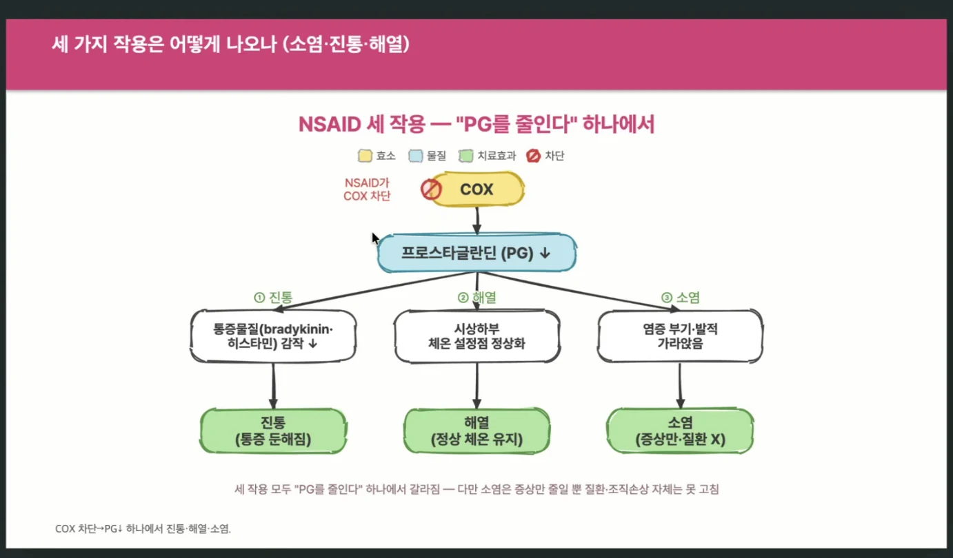 1일간호 약리편 라이브 수업 화면